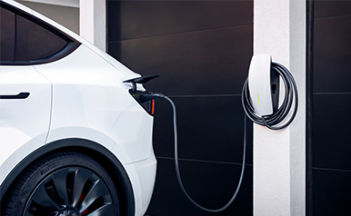 �齫����2(�й���)�ٷ���վ - IOS/��׿ͨ�ð�/�ֻ�APP����